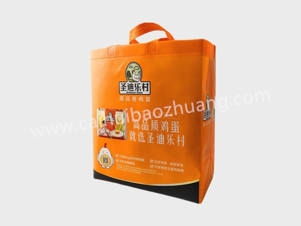 彩匯包裝 食品用無紡布袋 ，環保手提袋，定制手提袋